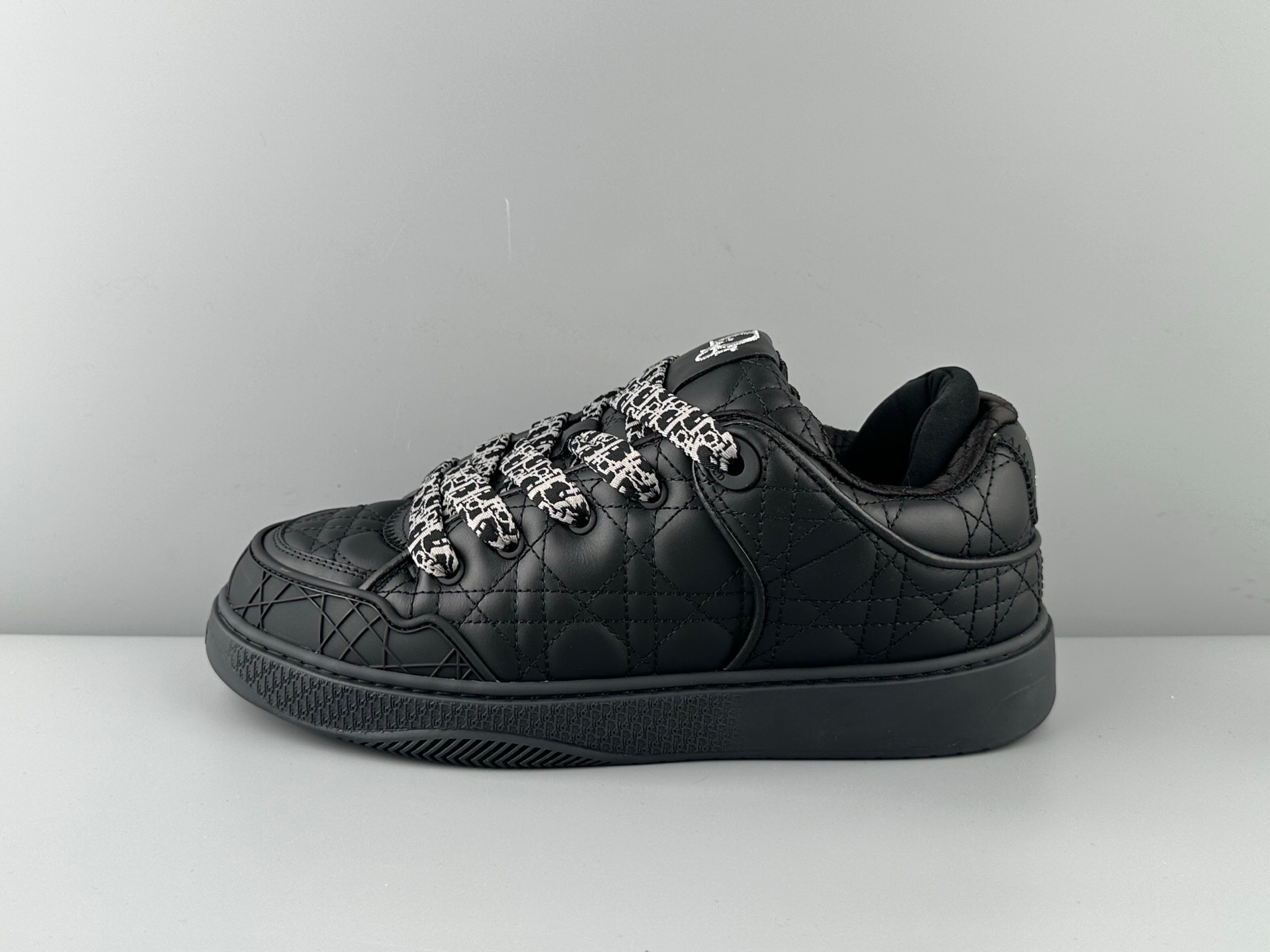 ERL x DIOR B9S