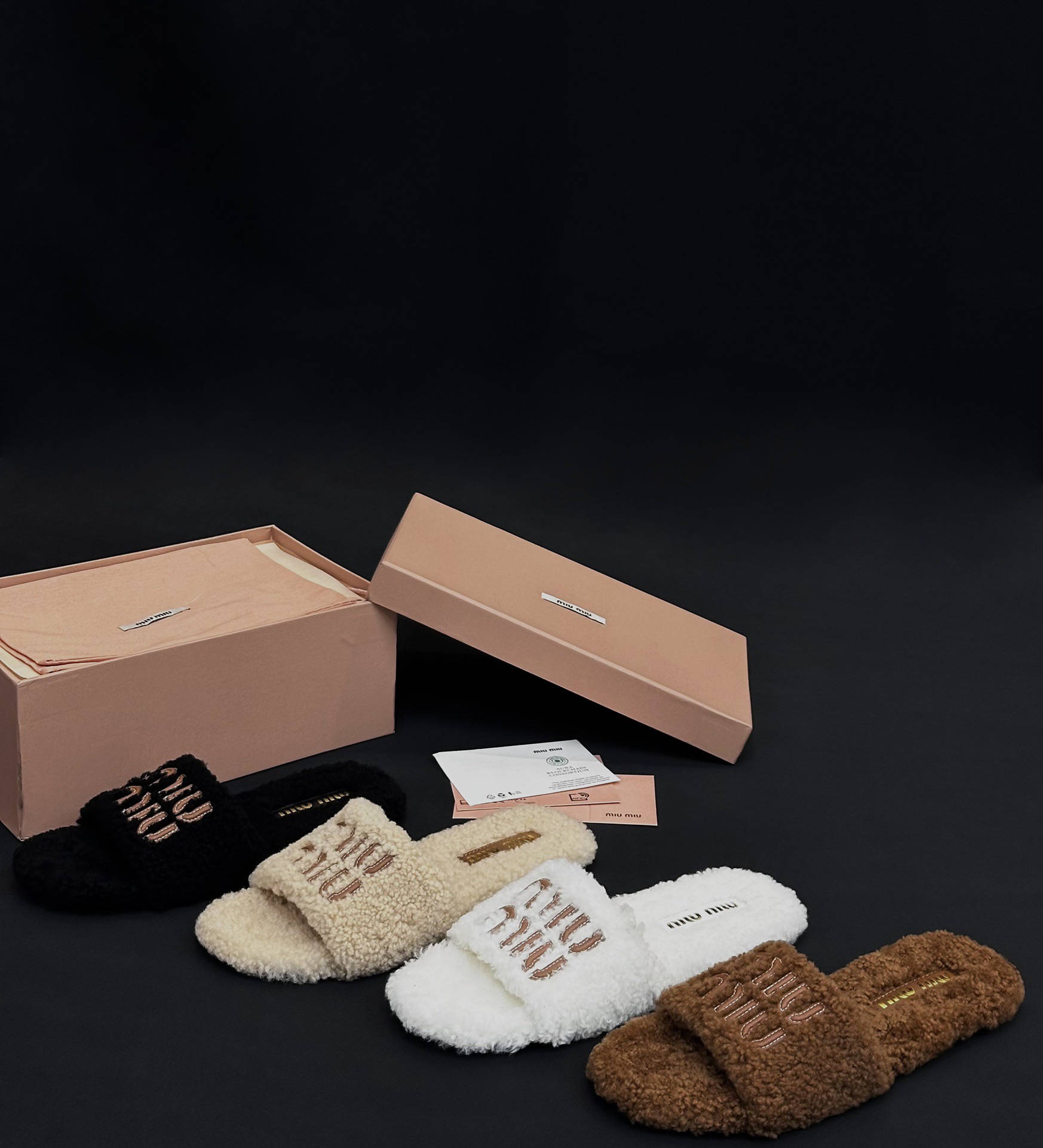 MiuMiu Shoes