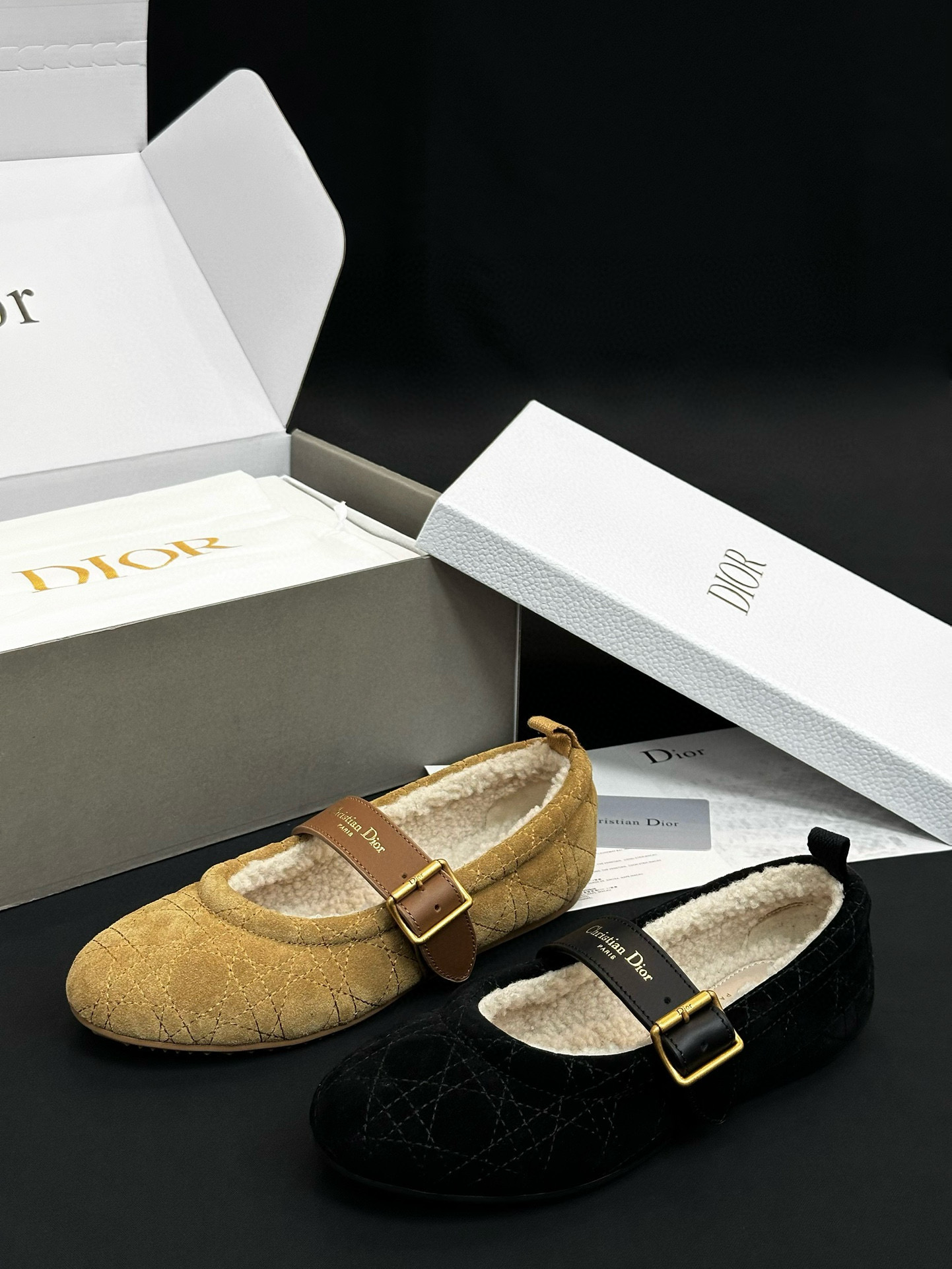 Dior Shoes