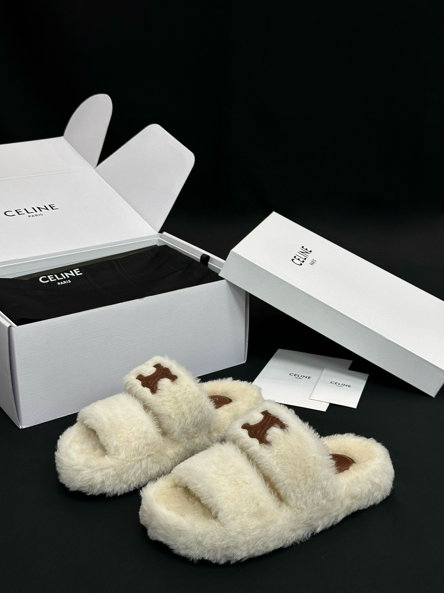 CELINE Shoes